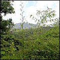 Grenada15023.jpg