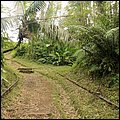 Grenada15026.jpg