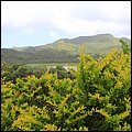 Grenada15027.jpg