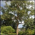 Grenada15031.jpg