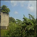 Grenada15033.jpg