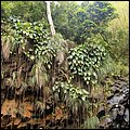 Grenada15038.jpg