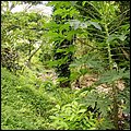 Grenada15043.jpg