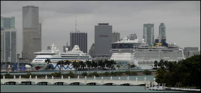 Mia15003.jpg