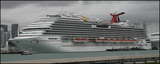 Mia15004.jpg