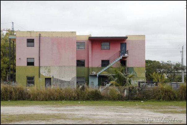 Mia15011.jpg