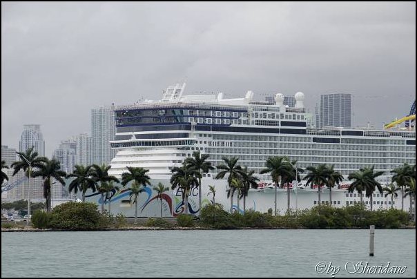 Mia15032.jpg