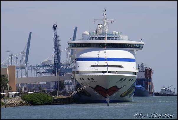 Mia15072.jpg