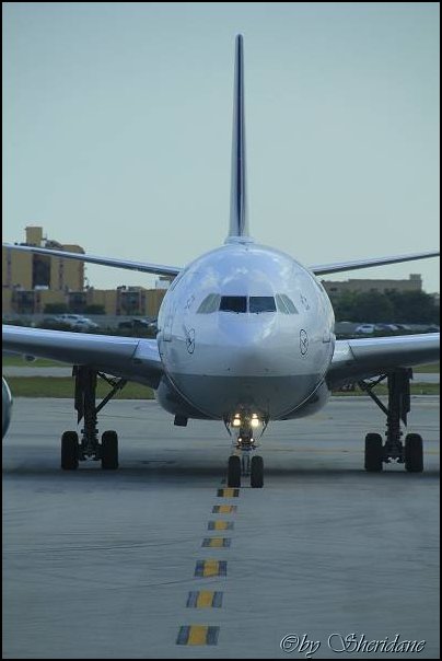 Mia15074.jpg