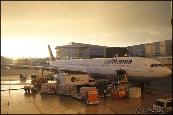 Mia15075.jpg