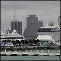 Mia15003.jpg