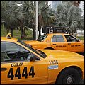 Mia15005.jpg