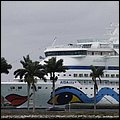 Mia15033.jpg
