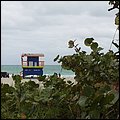 Mia15055a.jpg