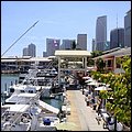 Mia15067.jpg