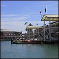 Mia15071.jpg