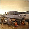 Mia15075.jpg