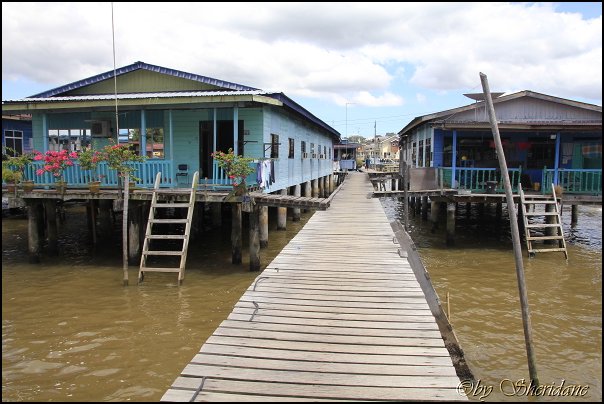 Brunei033.jpg