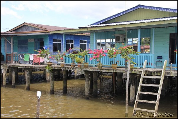 Brunei034.jpg