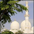 AbuDhabi13020.jpg