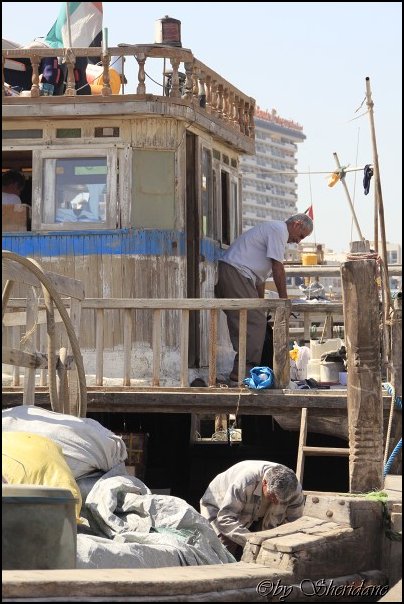 Dubai13012.jpg