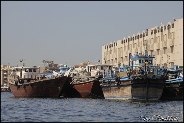 Dubai13021.jpg