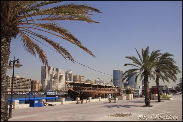 Dubai13033.jpg