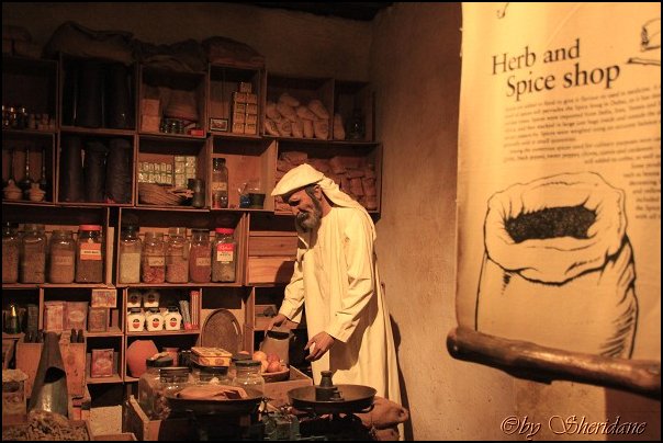 Dubai13044.jpg