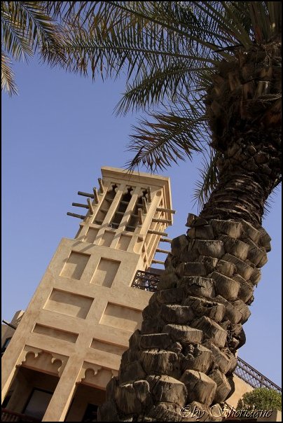 Dubai13053.jpg