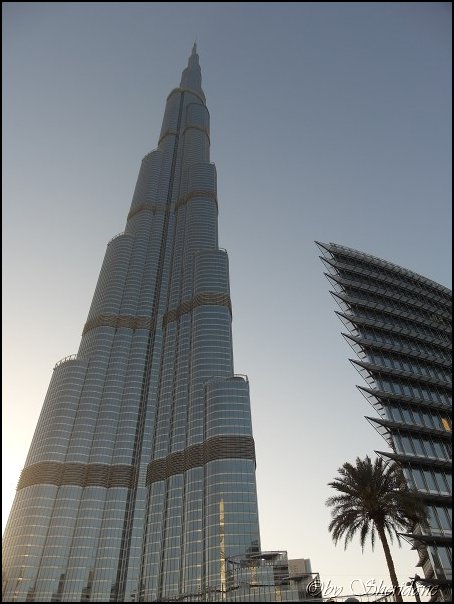 Dubai13069.jpg