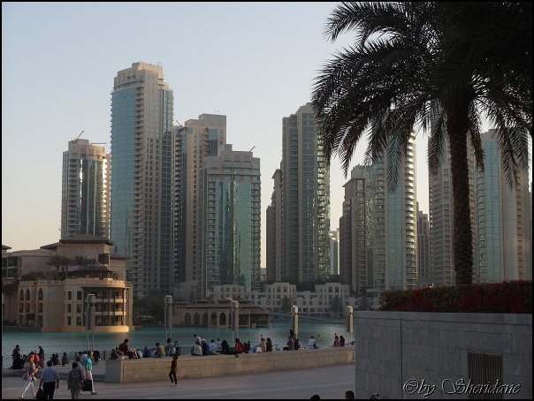 Dubai13071.jpg