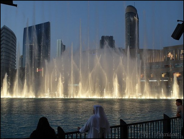 Dubai13073.jpg