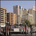 Dubai13022.jpg