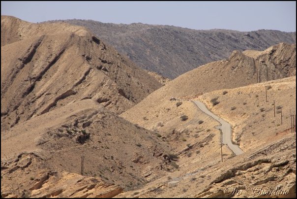 Muscat13024.jpg