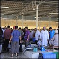 Muscat13005.jpg