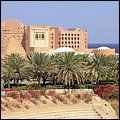 Muscat13026.jpg