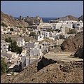 Muscat13034.jpg