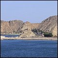Muscat13038.jpg