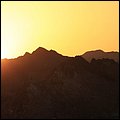 Muscat13042.jpg