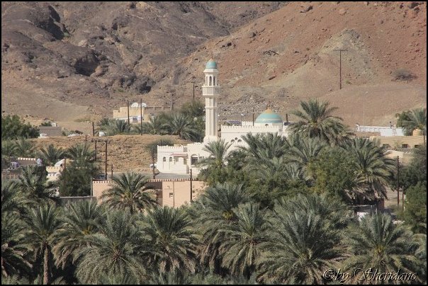 Oman13004.jpg