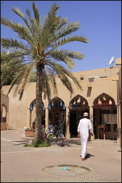 Oman13019.jpg
