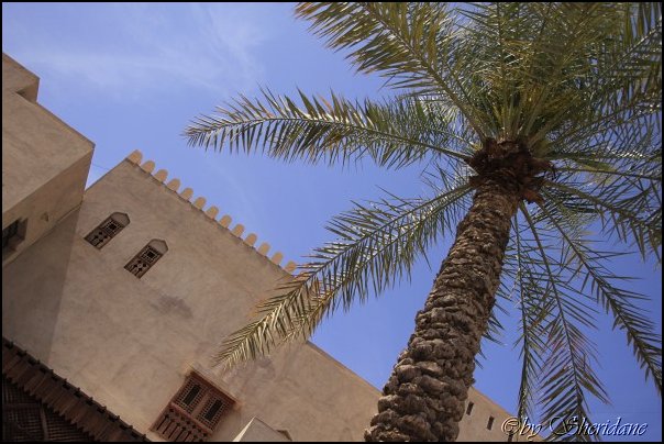Oman13022.jpg