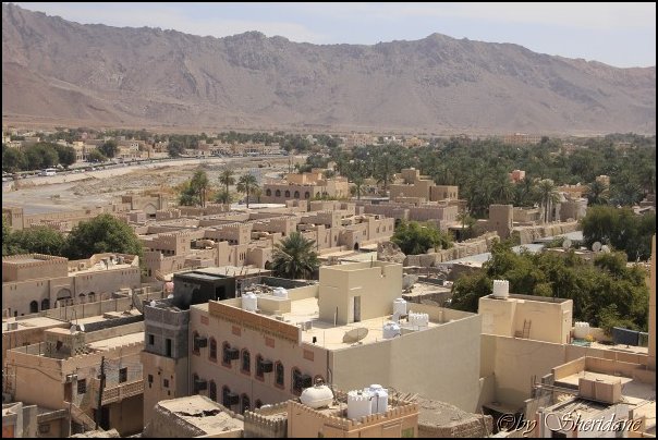 Oman13030.jpg