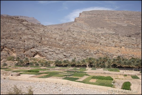 Oman13052.jpg