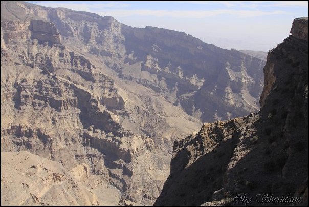Oman13061.jpg