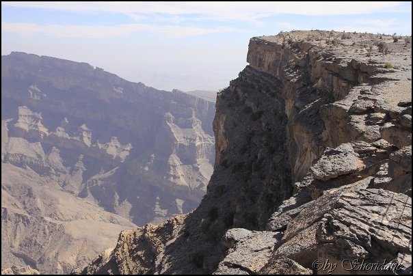 Oman13065.jpg