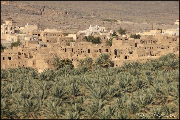 Oman13075.jpg