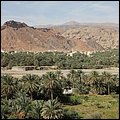 Oman13001.jpg