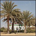 Oman13011.jpg