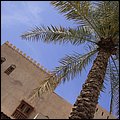 Oman13022.jpg